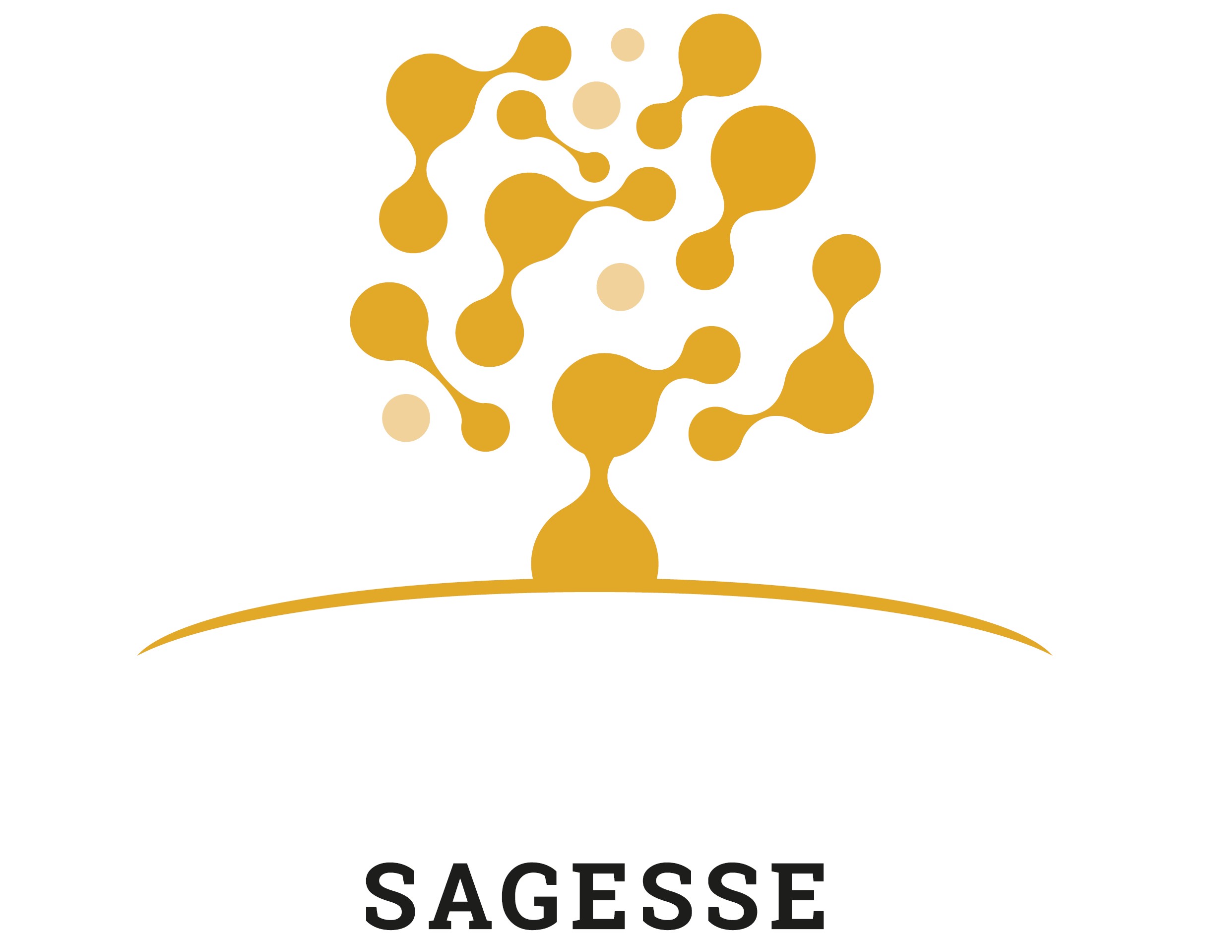 Logo SAGESSE